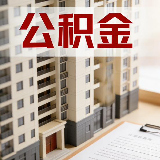 岳阳公积金代办行业新生态:从“跑腿中介”到“生活管家”的进化之路